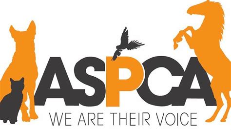 American Society for the Prevention of Cruelty to Animals charity .